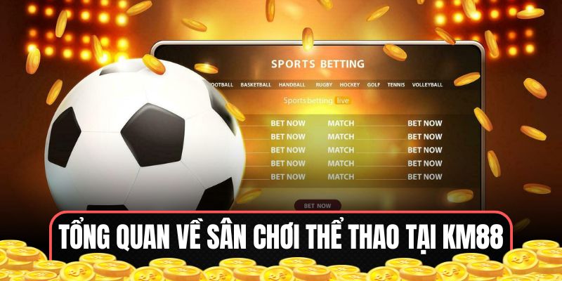 Tổng quan về sân chơi thể thao tại KM88